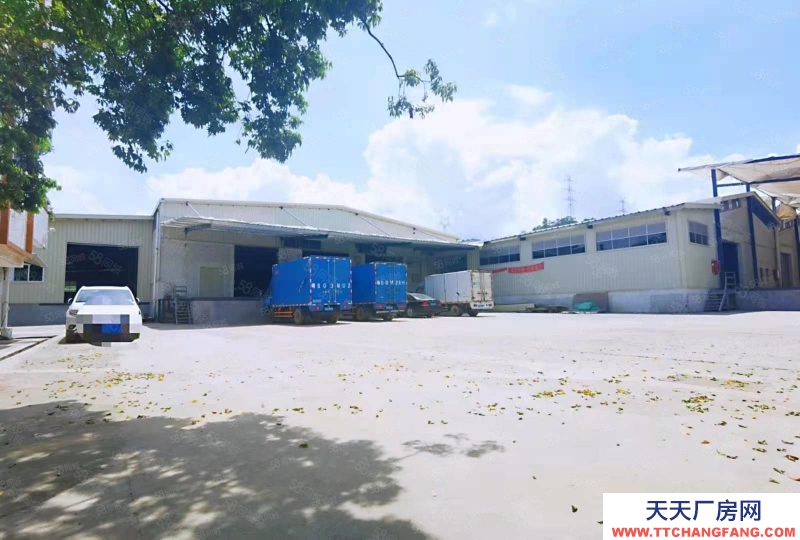 (出租) 深圳鹽田港層高8米標(biāo)準(zhǔn)高臺倉庫出租,可分租