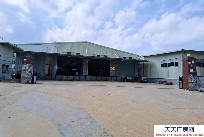 (出租) 深圳鹽田港層高8米標(biāo)準(zhǔn)高臺倉庫出租,可分租