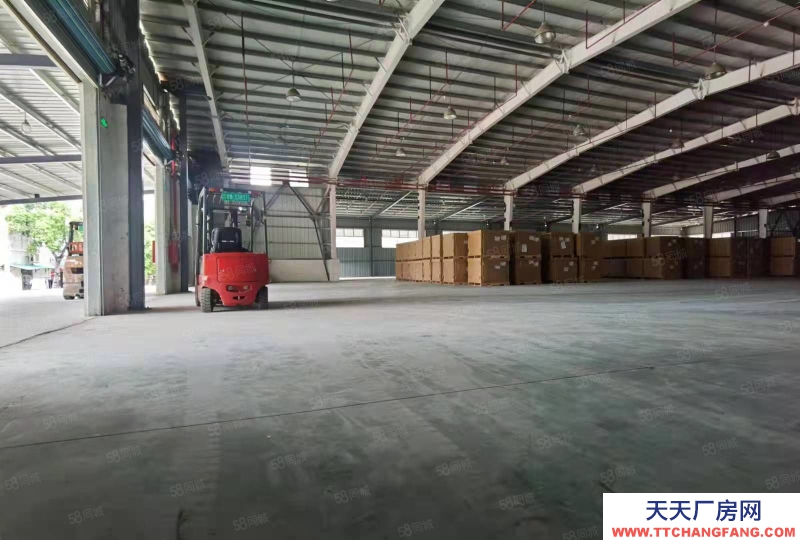 (出租) 深圳鹽田港倉儲服務大小面積可分租,配套托管團隊服務