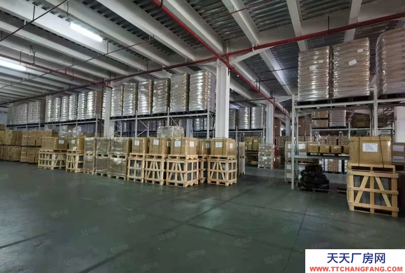 (出租) 深圳鹽田港倉儲服務大小面積可分租,配套托管團隊服務