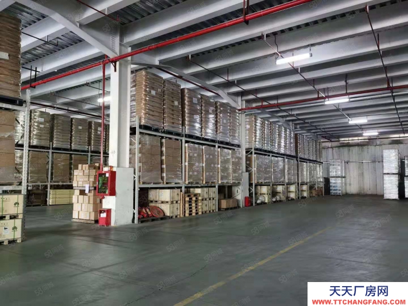 (出租) 深圳鹽田港倉儲服務大小面積可分租,配套托管團隊服務