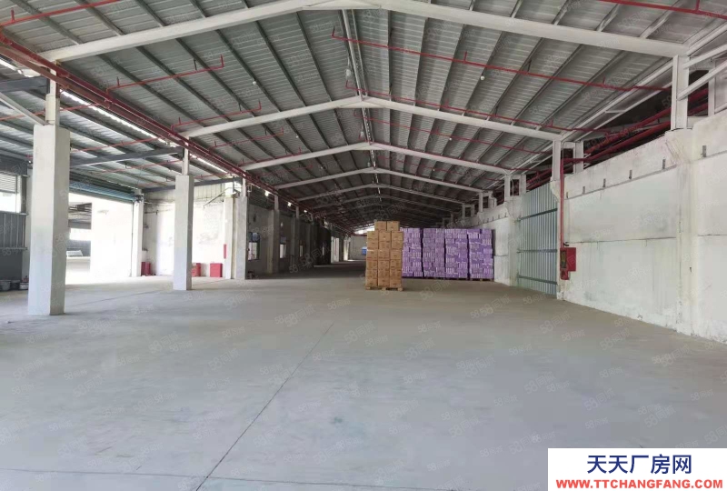 (出租) 深圳鹽田港倉儲服務大小面積可分租,配套托管團隊服務