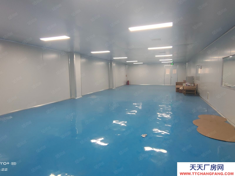 淄博周村正陽路10萬級凈化車間轉讓或出租