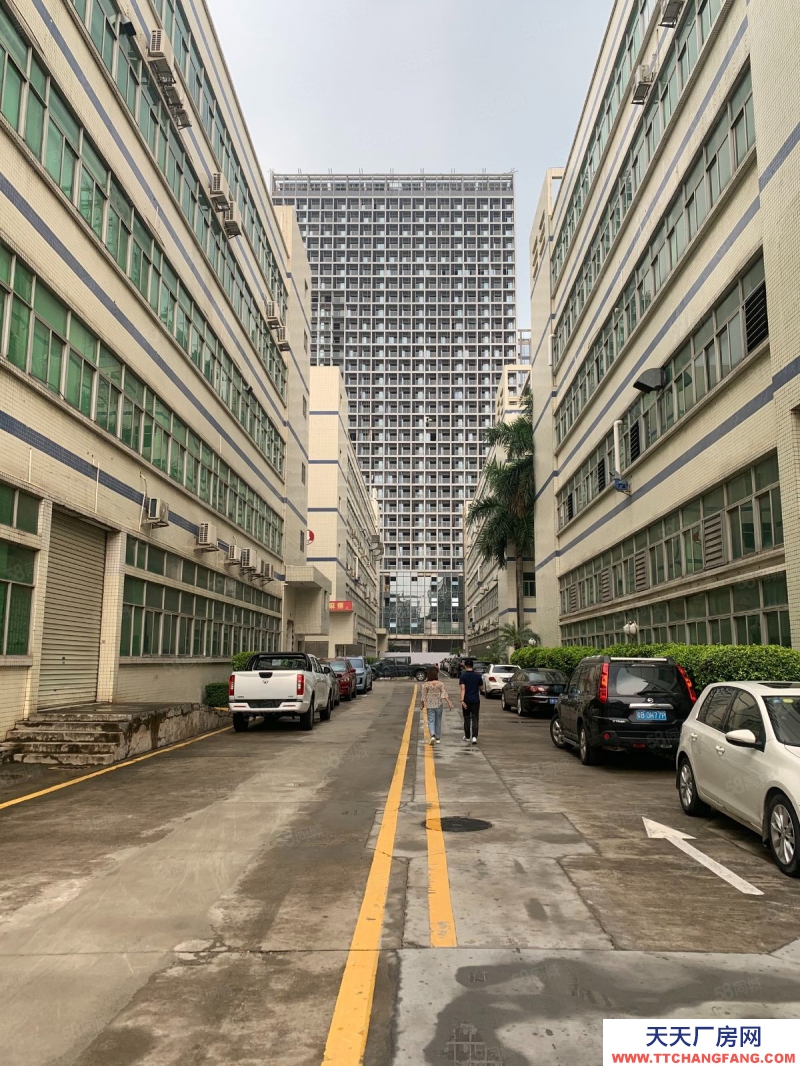 (出租) 深圳龍崗 聯(lián)創(chuàng)科技園 開發(fā)商直租 治安好 保安全天巡邏