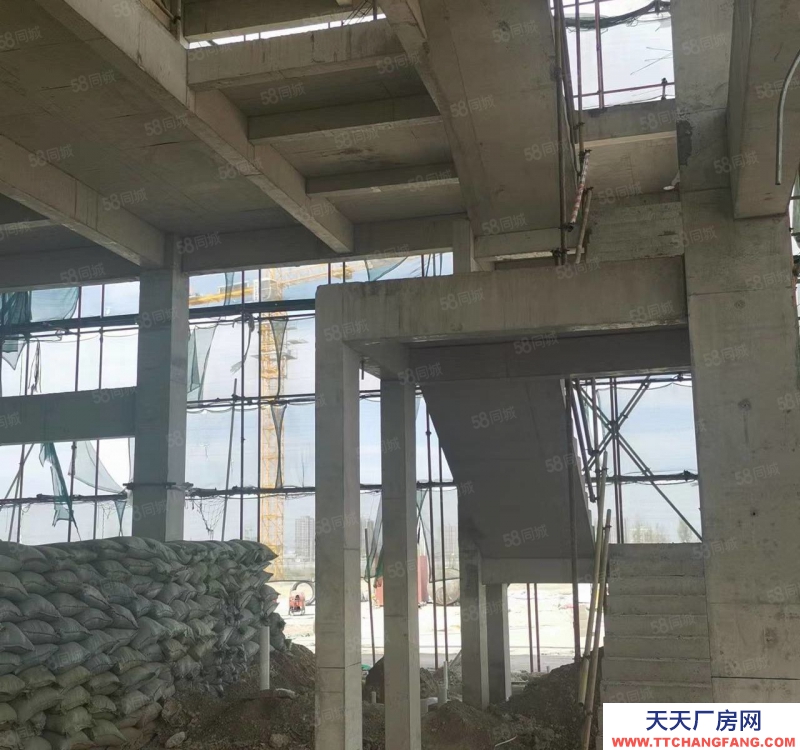 保定  定興 園區獨棟 廠房庫房 展廳辦公 食品可落 贈一層面積