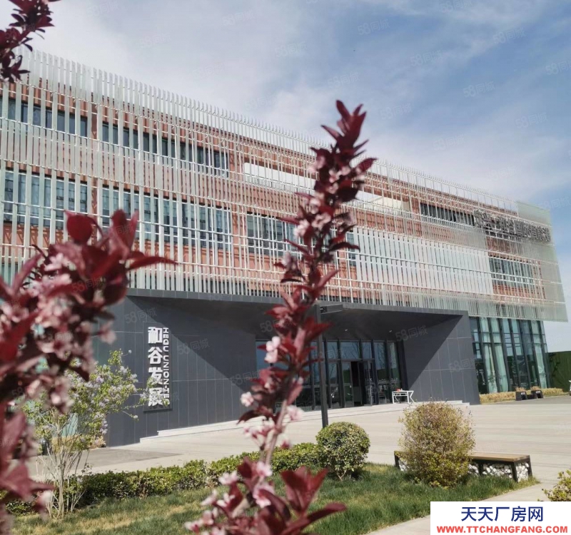 保定  定興 園區獨棟 廠房庫房 展廳辦公 食品可落 贈一層面積