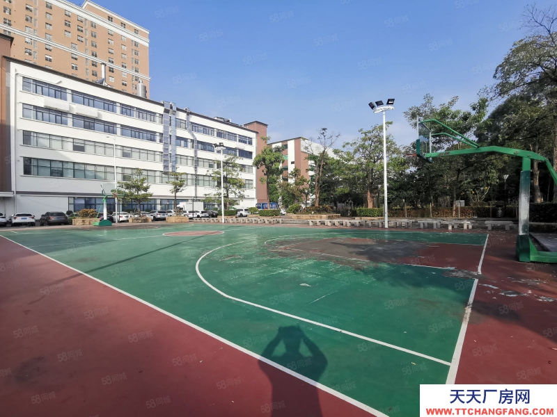 (出租) 深圳福田龍華高新科創園整棟19000平可申請租金補貼有紅本現低價放租