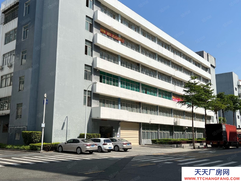 (出租) 深圳鹽田業主直租，海山地鐵口精裝修550平廠房出租