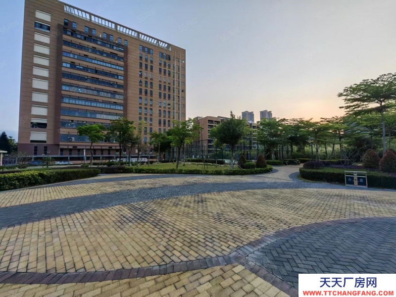 (出租) 深圳鹽田原房東實(shí)際面積 鹽田工業(yè)園獨(dú)棟5000平廠房出租