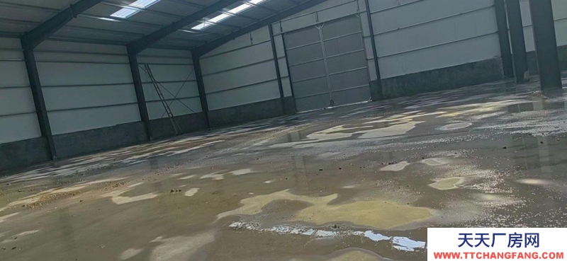 淄博周村大型倉庫 309愛國段 1300平米