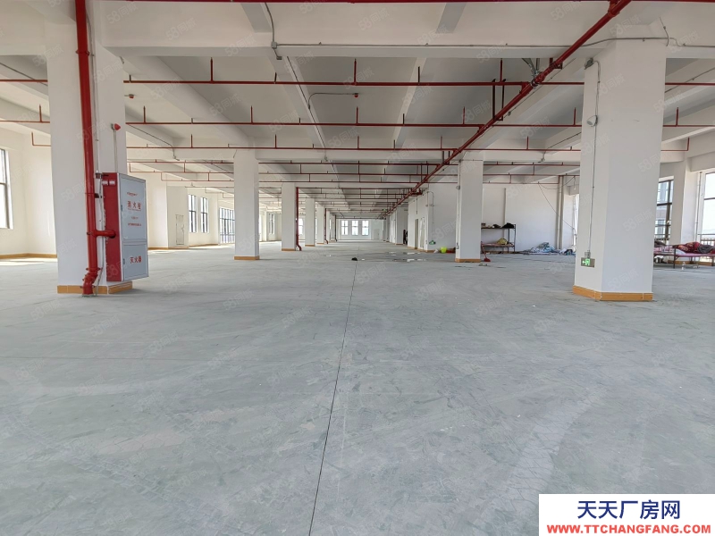 (出租) 深圳寶安光明高新醫療補貼全新獨棟廠房出租5000平可分租倉庫出租