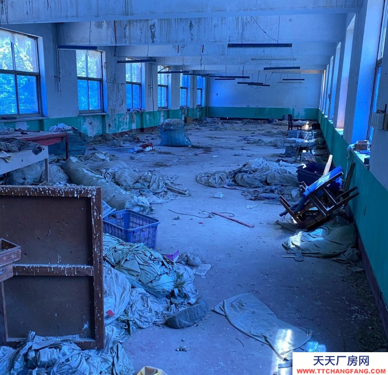 保定 唐縣 整棟樓。共三層。二樓通透，三樓通透。一樓有部分辦公室