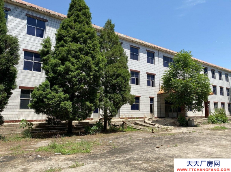 保定 唐縣 整棟樓。共三層。二樓通透，三樓通透。一樓有部分辦公室