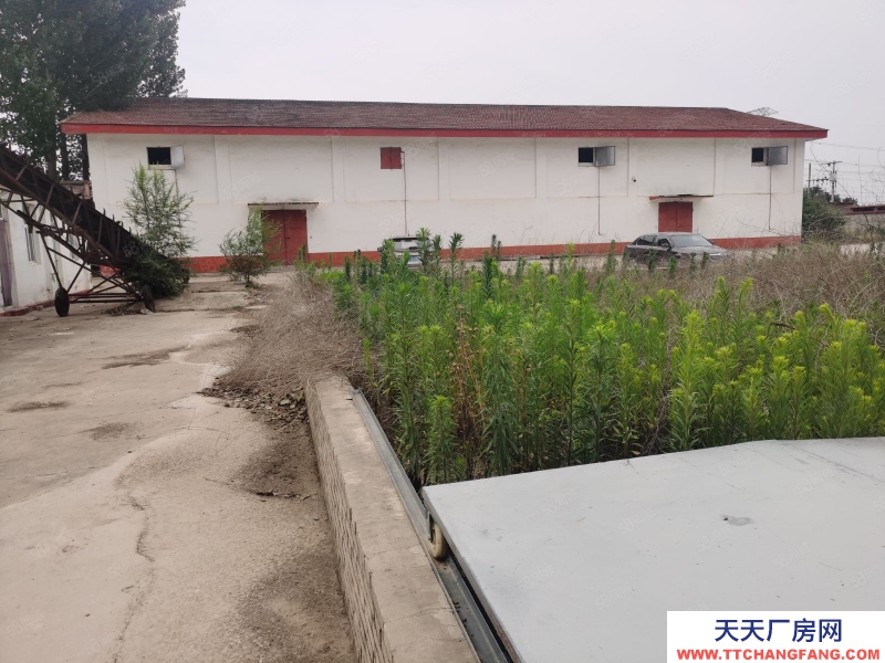 保定 淶水 出租獨院食品廠，手續齊全適合多種食品加工可增項目，獨立變壓器