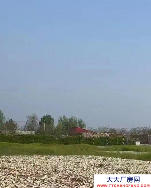 保定 望都第三中學附近107國道77畝，一層建筑6000平。出租