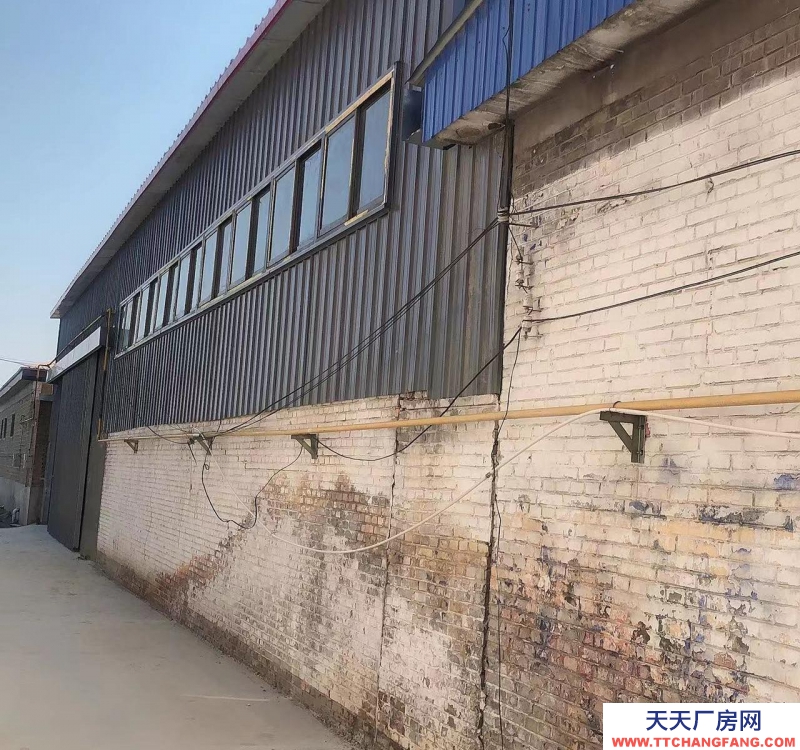 保定 望都  550平米庫房，加200平辦公室，交通方便，獨立的