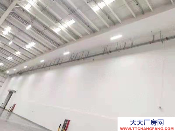 南京市溧水倉庫出租 5000方起租 丙二消防