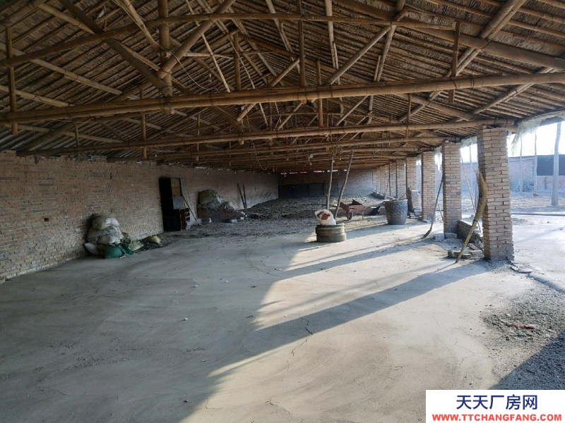 保定 望都可以改造，有大棚。可以養殖。有大院兒，有大棚。