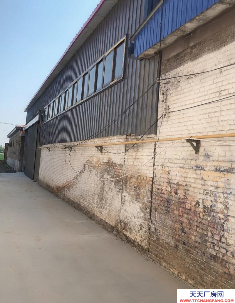 保定 望都 鋼構(gòu)全新庫(kù)房550平,200平辦公室