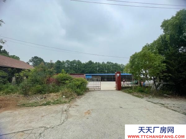 南京市高淳區林場倉庫，租金實惠