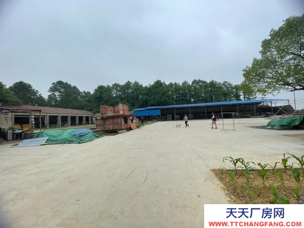 南京市高淳區林場倉庫，租金實惠