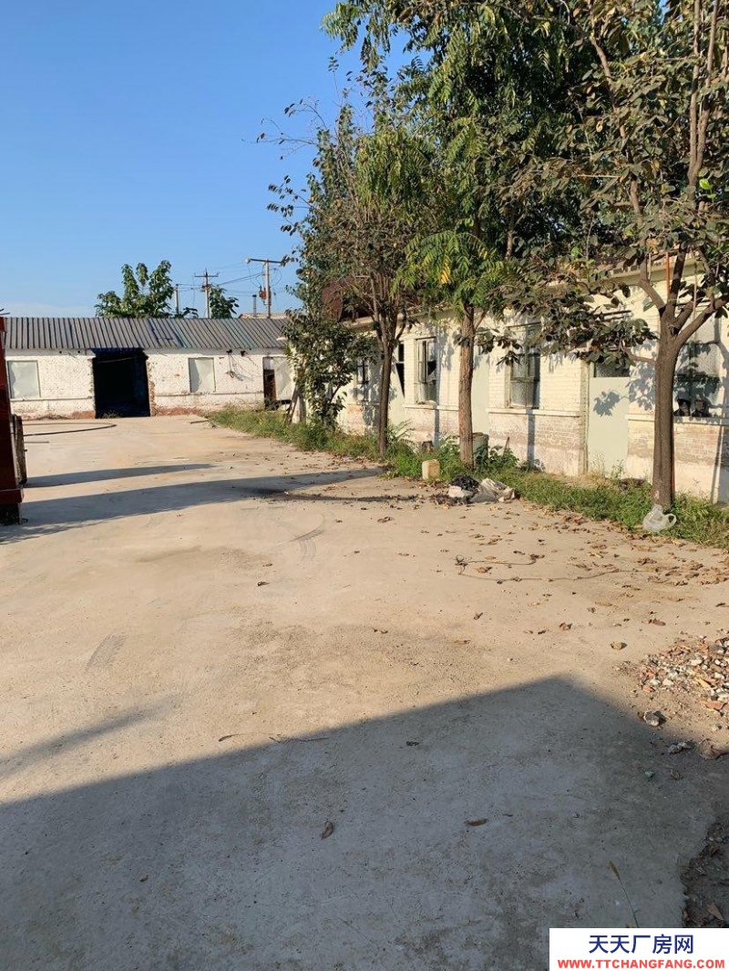 保定 望都  107國道東側500米 倉庫 2400平米