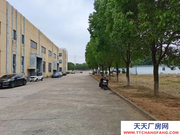 南京市高淳經(jīng)濟(jì)開發(fā)區(qū)雙高路廠房11000平土地32畝售2800萬