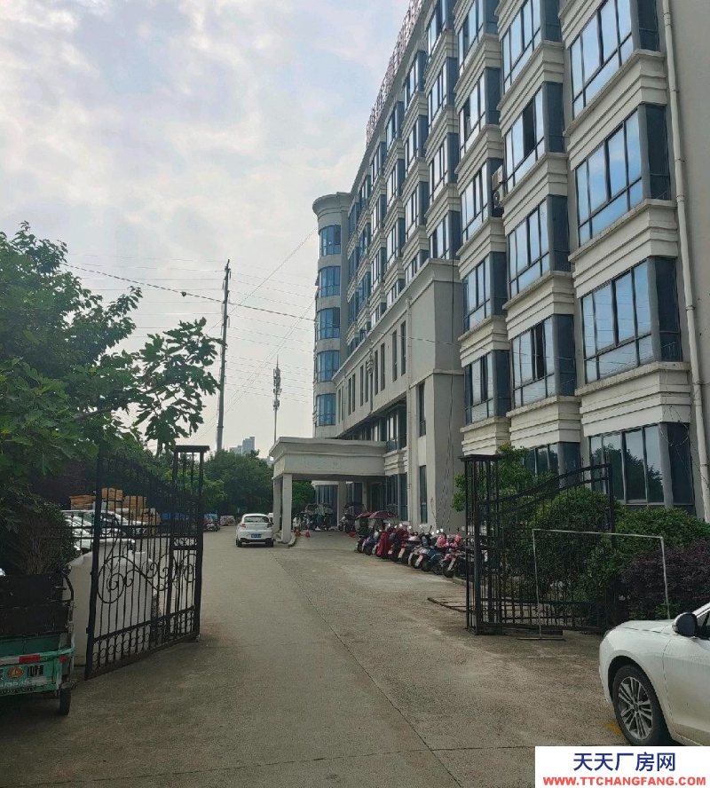 (出租)蕪湖 鳩江區 3000平方標準倉庫廠房冷凍庫出租可分割