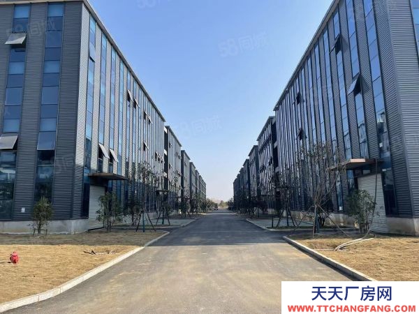 南京市高淳區好廠房出售 現房銷售 低價格 高品質