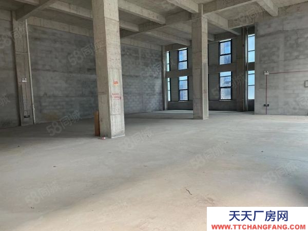 南京市高淳區好廠房出售 現房銷售 低價格 高品質