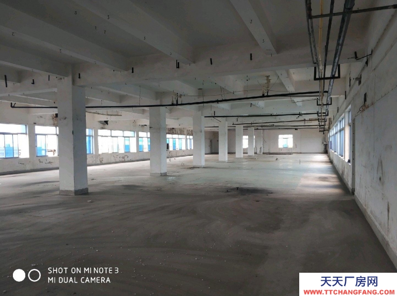 (出租)蕪湖鳩江區(qū) 經(jīng)開區(qū) 倉庫 500--4000平米