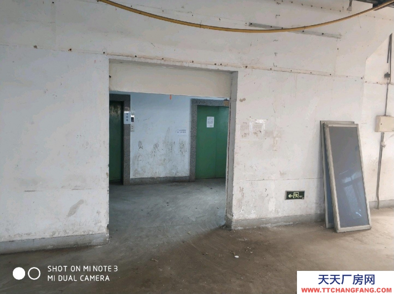 (出租)蕪湖鳩江區 經開區 倉庫 500--4000平米