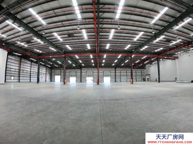 (出租) 蕪湖鳩江區丙二類雙邊外置月臺高標倉，3000平至30000平火熱招商中