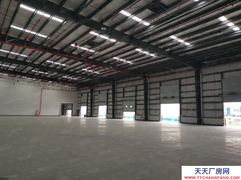 (出租) 蕪湖鳩江區(qū)順豐招商部直租，丙二類高標倉庫