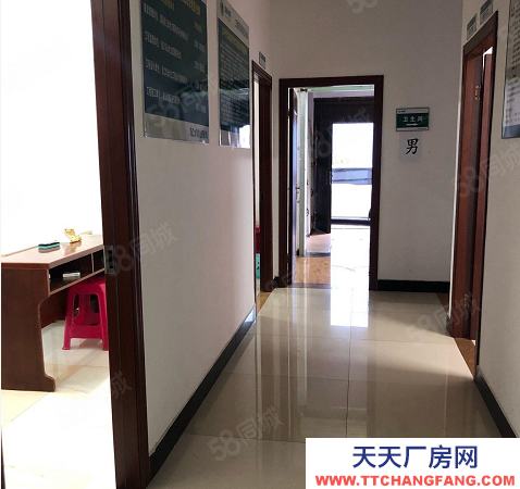 南京市高淳區D9 139 2330 8464安徽廣宣二十畝地新建廠房