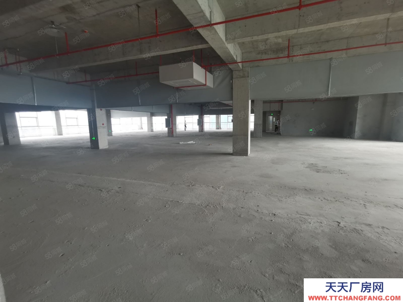 (出租) 廣州政府項目黃埔區可租可售!新型專精區1000平起租租金補貼50