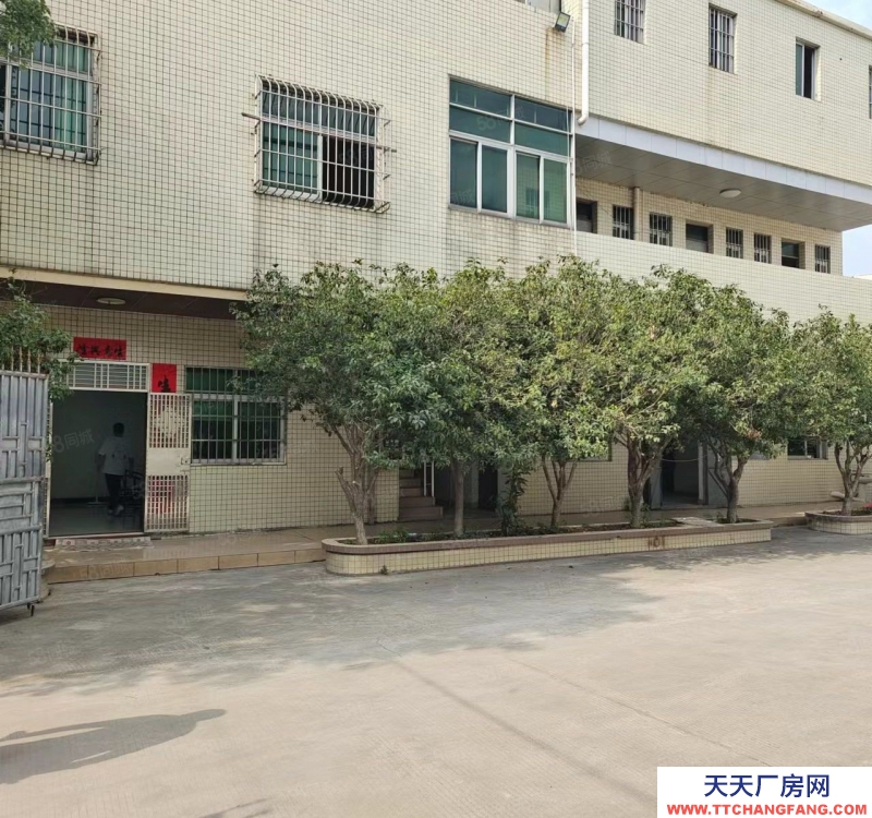 (出租) 東莞寮步原房東獨院直租，公攤少，價格便宜大馬路上旁邊