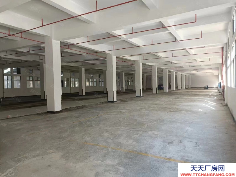 (出租) 東莞國有紅本4萬平廠房,工業用地,易招工,位置超好