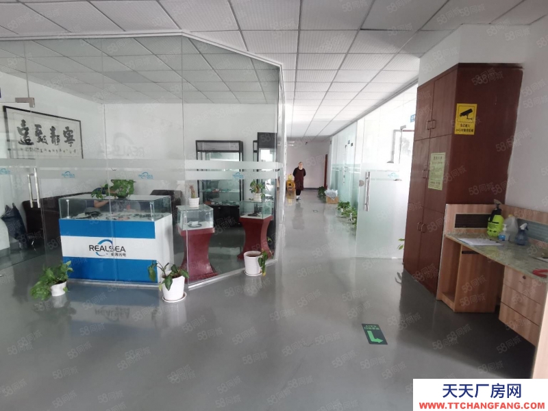 (出租) 東莞周屋空出二樓800平精裝修廠房倉(cāng)庫(kù)低價(jià)出租水電齊全空地大