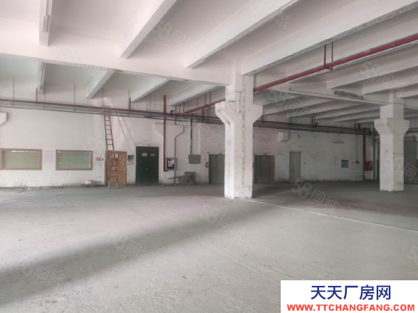 蘇州市吳中區可分租越溪1500平單層廠房出租 大車好進 獨門獨院 原房東