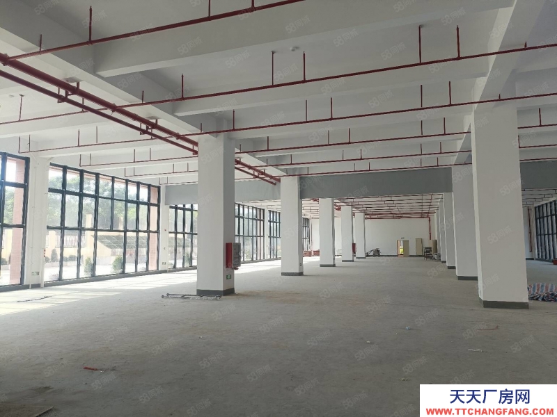 (出租) 東莞黃江新建標(biāo)準(zhǔn)廠房30000平,園區(qū)空地大形象好,好招工高速近