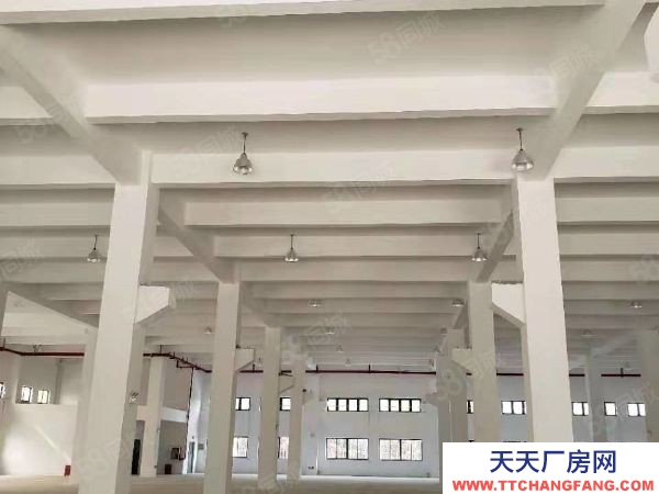 蘇州市吳中區1樓高8米1800平！2樓2000平可分割分租130平以上