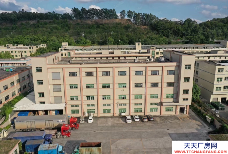 (出租) （新出）東莞常平橋瀝獨院三層7500平方，可分租