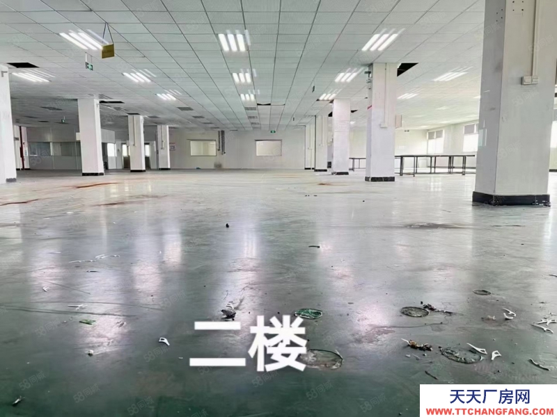 (出租) （新出）東莞常平橋瀝獨院三層7500平方，可分租