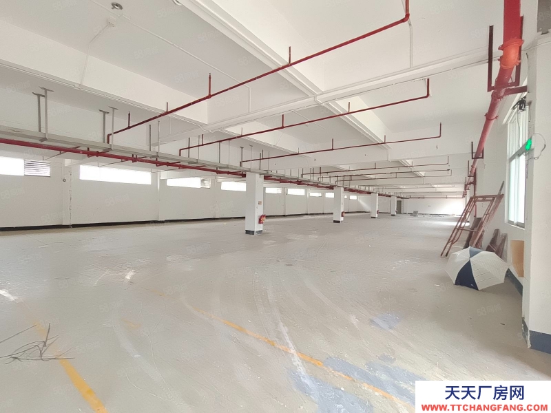 (出租) 東莞厚街帶鞋材手袋環評!原房東,花園式廠房6800平招租,接受分租!