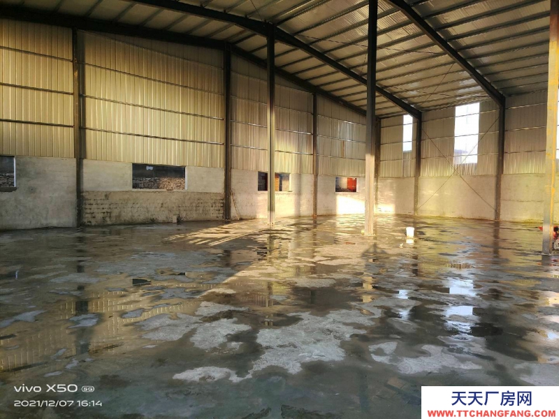 棗莊市中出租1700平方鋼結構，8米高度。