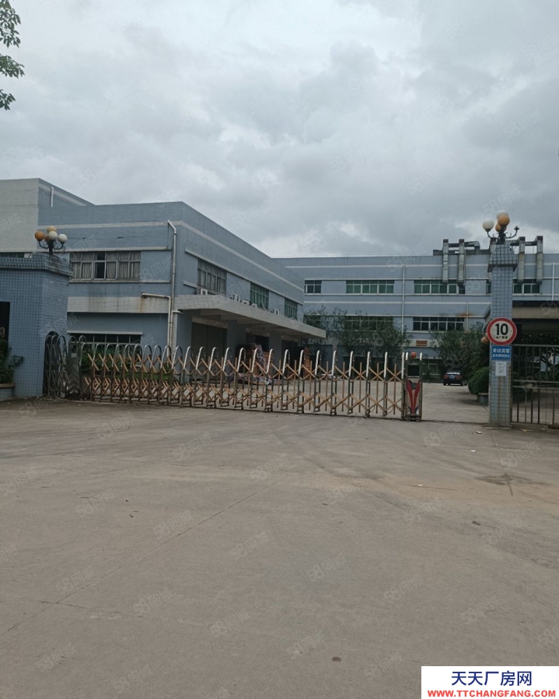 (出租) 東莞寮步新出標準獨門獨院，廠房三棟，一棟兩層，兩棟三層