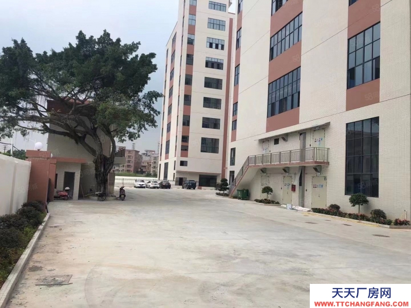 (出租) 東莞全新廠房出獨院廠房上市公司形象，實際面積出租，帶有紅本無公攤