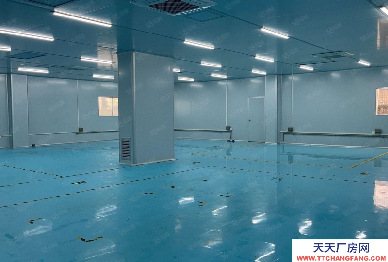 (出租) 東莞虎門原房東獨棟現成無塵車間1350平廠房出租 精裝修實際面積