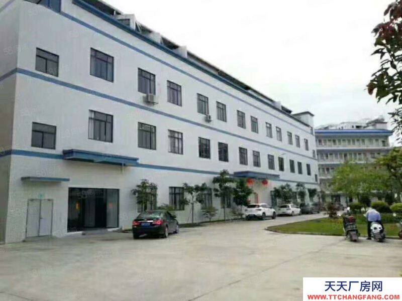 (出租) 東莞藥勒 上午新出 獨院廠房 分租1000平,現成裝修形象好